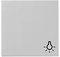 wippe symbol Licht System 55 grau matt (0285015)