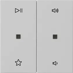 Gira wippe 2-fach Audiosteuerung System 55 grau matt (5384015)