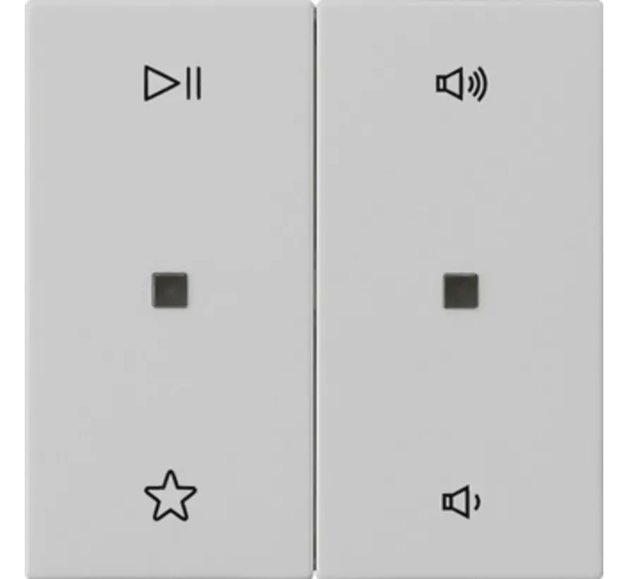 wippe 2-fach Audiosteuerung System 55 grau matt (5384015)