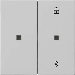 Gira Bluetooth bedienaufsatz System 3000 System 55 Grau matt (5381015)
