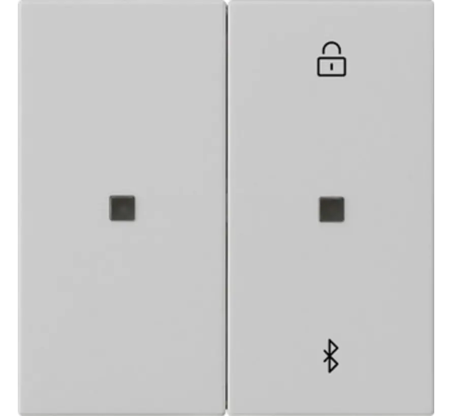Bluetooth bedienaufsatz System 3000 System 55 Grau matt (5381015)