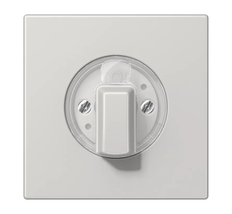 Drehbedienaufsatz für Jalousie oder Drehschalter LS990 hellgrau (LS 1941 LG)