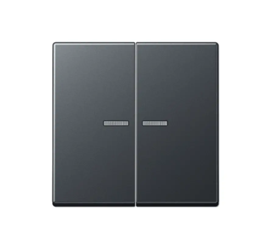 Wippe 2-fach Kontrollfenster A-range anthrazit matt (A 595 BF KO5 ANM)