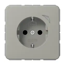 JUNG HOME wandcontactdoos randaarde Energy CD500 platina