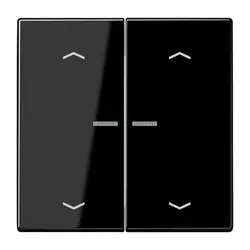 JUNG HOME Dimmerbedienaufsatz 2-fach mit Pfeilsymbolen LS990 schwarz glänzend (BT LS 17102 P SW)