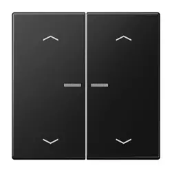 JUNG HOME Dimmerbedienaufsatz 2-fach mit Pfeilsymbolen LS990 graphitschwarz matt (BT LS 17102 P SWM)