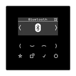 JUNG Smart Radio DAB+ Bluetooth ohne Lautsprecher LS990 schwarz (DAB LS BT SW)