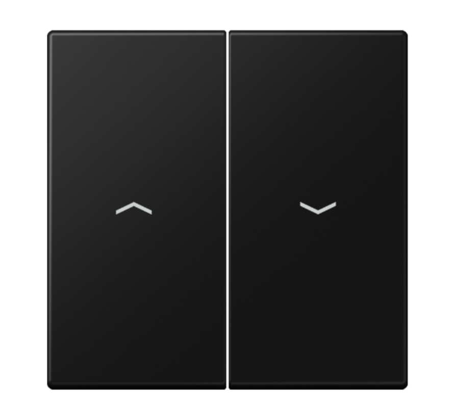 Wippe für Jalousieschalter LS990 graphitschwarz matt (LS 995 P SWM)