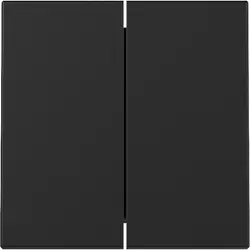 Gira Wippe 2fach System 55 schwarz matt (3295005)