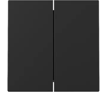 Gira Wippe 2fach System 55 schwarz matt (3295005)