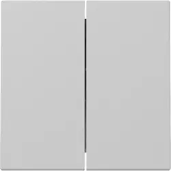 Gira Wippe 2fach System 55 grau matt (3295015)