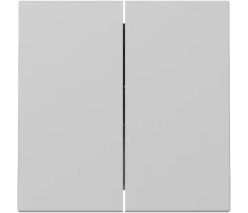 Gira Wippe 2fach System 55 grau matt (3295015)