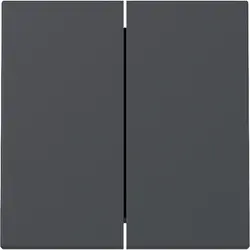 Gira Wippe 2fach System 55 anthrazit matt (329528)