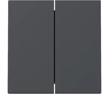 Gira Wippe 2fach System 55 anthrazit matt (329528)