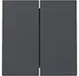 Wippe 2fach System 55 anthrazit matt (329528)