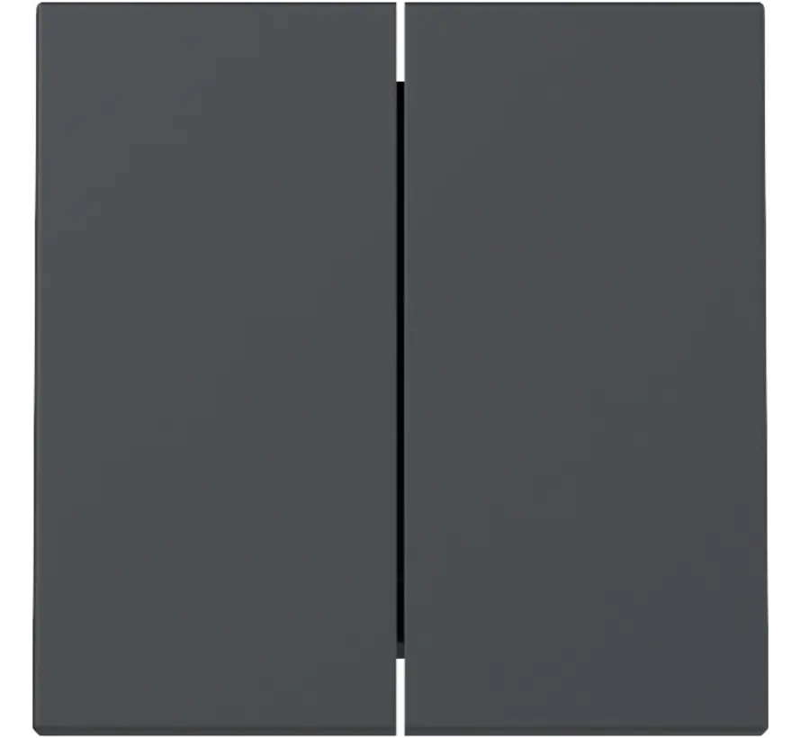 Wippe 2fach System 55 anthrazit matt (329528)