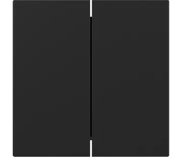 Gira Wippe 2fach gerade stehend System 55 schwarz matt (3495005)