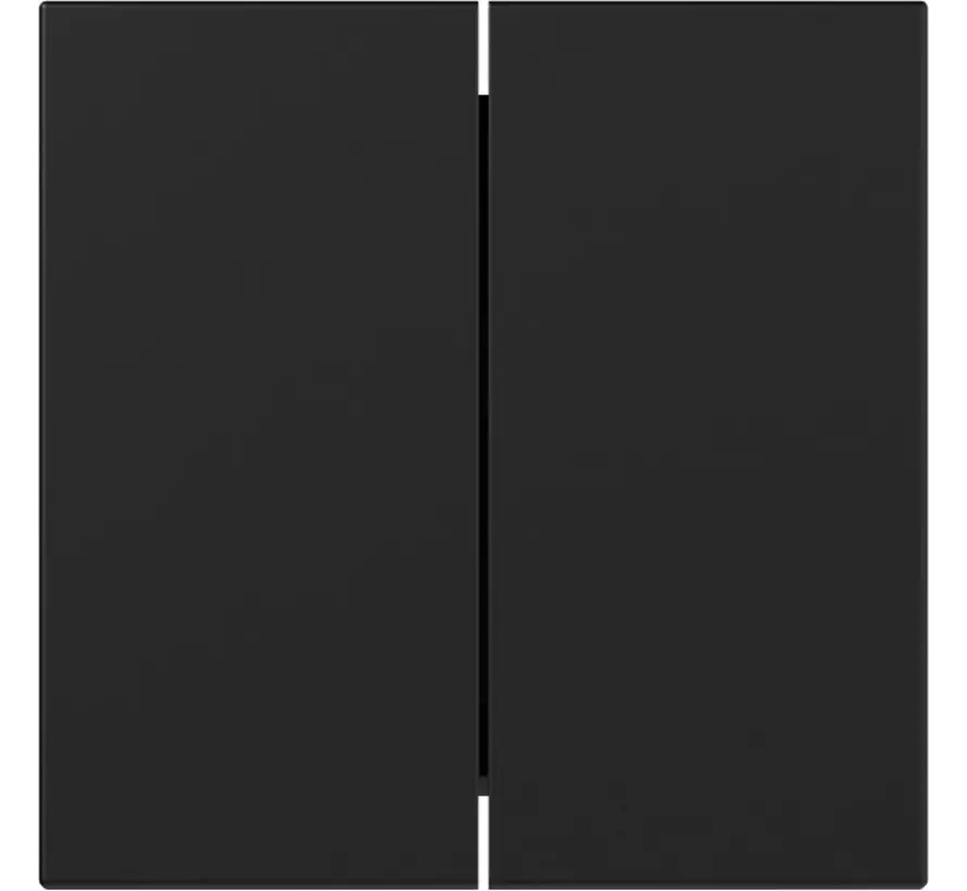 Wippe 2fach gerade stehend System 55 schwarz matt (3495005)