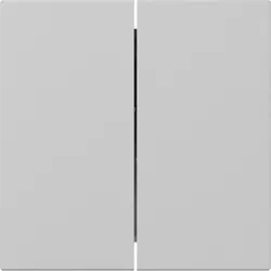 Gira Wippe 2fach gerade stehend System 55 grau matt (3495015)