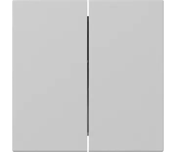 Gira Wippe 2fach gerade stehend System 55 grau matt (3495015)