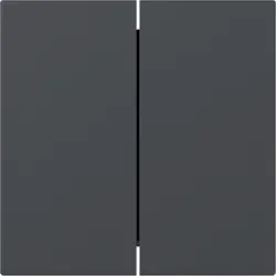 Gira Wippe 2fach gerade stehend System 55 anthrazit matt (349528)