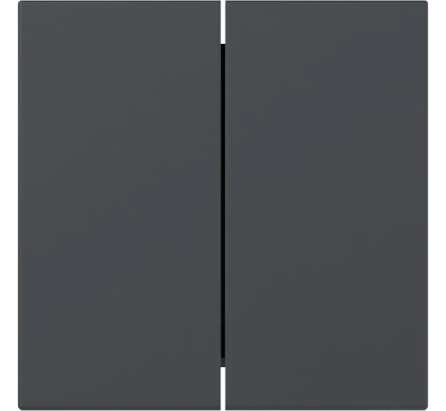 Wippe 2fach gerade stehend System 55 anthrazit matt (349528)