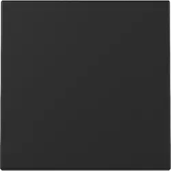 Gira Wippe 1fach System 55 schwarz matt (3296005)