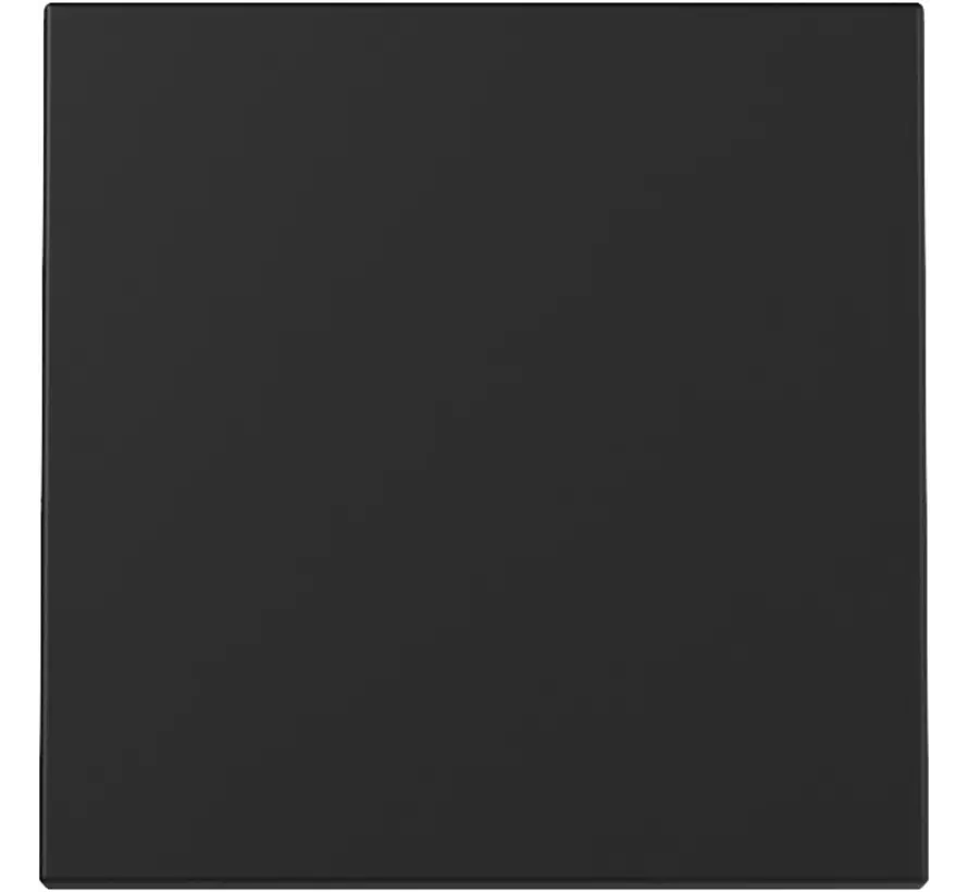 Wippe 1fach System 55 schwarz matt (3296005)