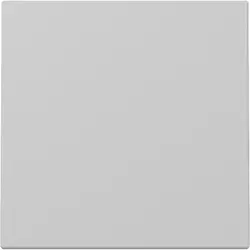 Gira Wippe 1fach System 55 grau matt (3296015)