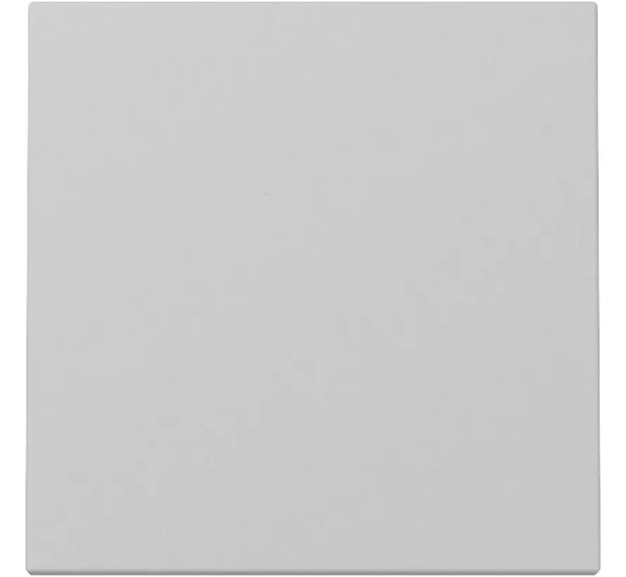 Wippe 1fach System 55 grau matt (3296015)