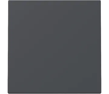 Gira Wippe 1fach System 55 anthrazit matt (329628)