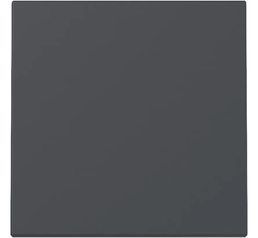 Wippe 1fach System 55 anthrazit matt (329628)