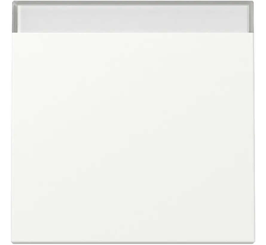 Wippe mit Beschriftungsfeld System 55 weiß matt (329927)