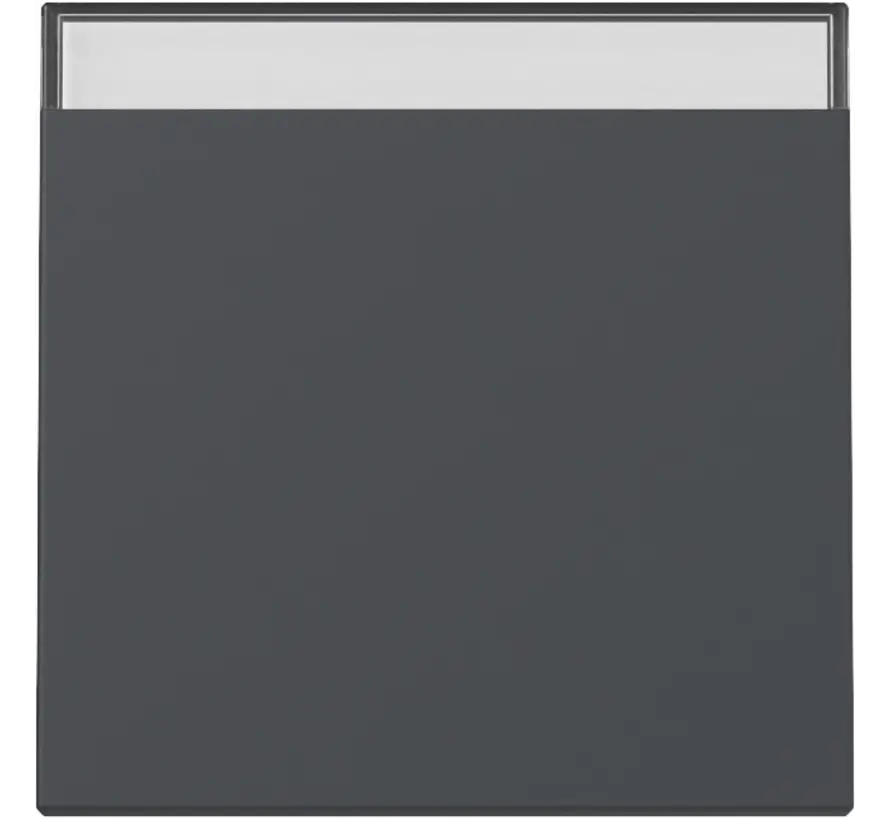 Wippe mit Beschriftungsfeld System 55 anthrazit matt (329928)