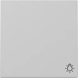 Gira Wippe mit Symbol Licht System 55 grau matt (3285015)