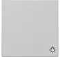 Wippe mit Symbol Licht System 55 grau matt (3285015)