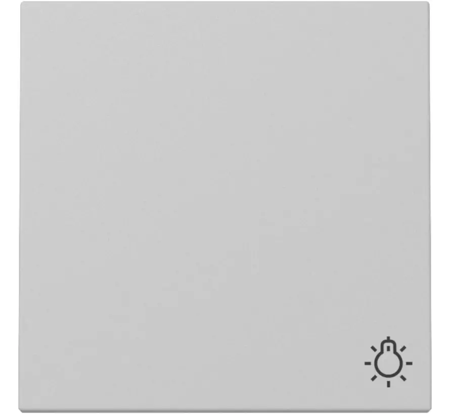 Wippe mit Symbol Licht System 55 grau matt (3285015)