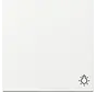 Wippe mit Symbol Licht System 55 weiß glänzend (328503)