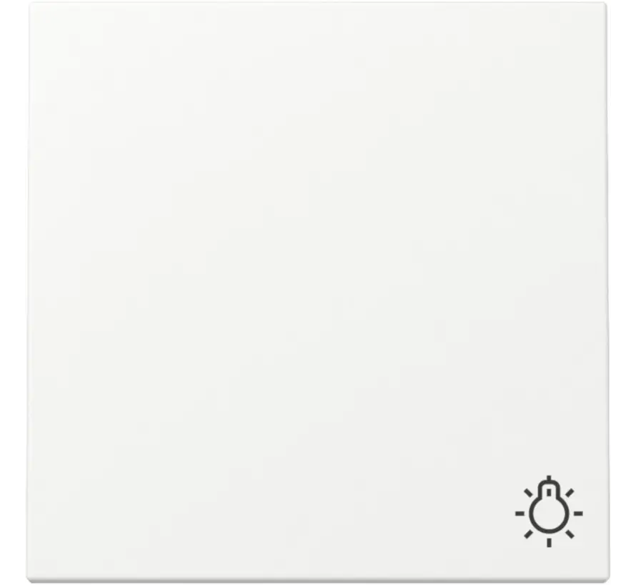 Wippe mit Symbol Licht System 55 weiß matt (328527)