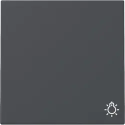 Gira Wippe mit Symbol Licht System 55 anthrazit matt (328528)