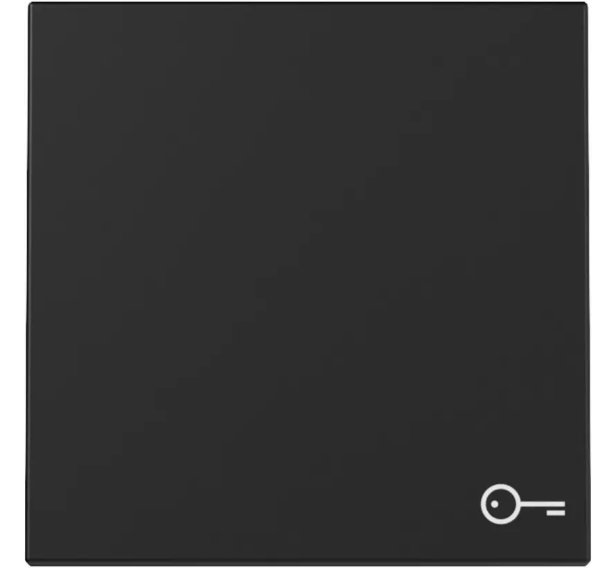 Wippe mit Symbol Tür System 55 schwarz matt (3287005)