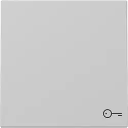 Gira Wippe mit Symbol Tür System 55 grau matt (3287015)