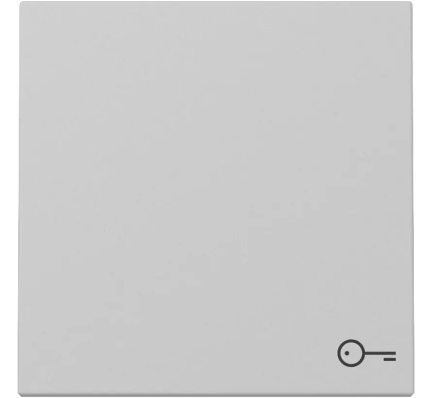 Wippe mit Symbol Tür System 55 grau matt (3287015)