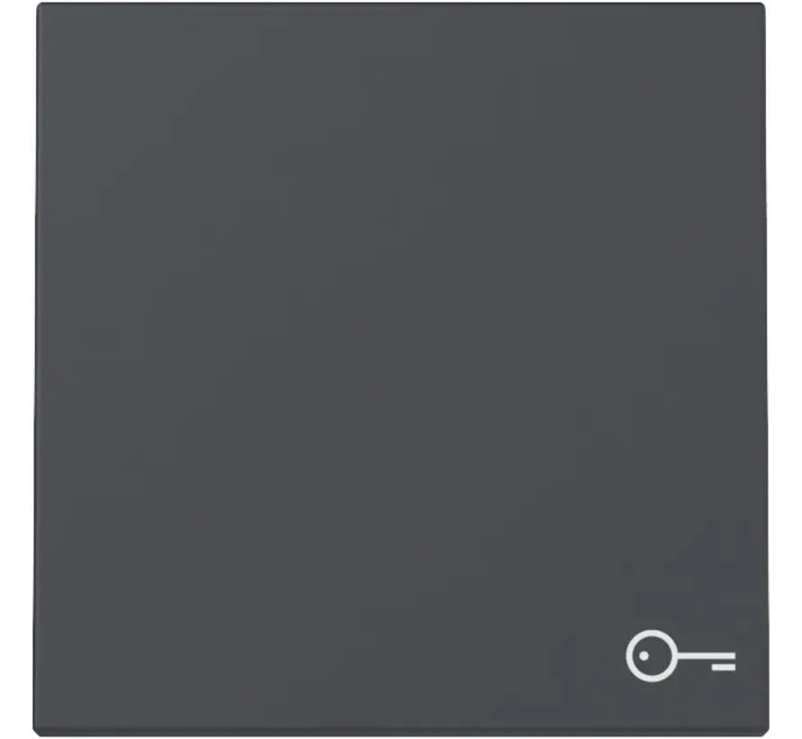 Wippe mit Symbol Tür System 55 anthrazit matt (328728)