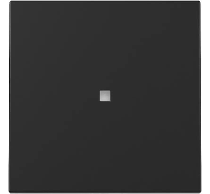 Wippe mit Kontrollfenster System 55 schwarz matt (3290005)
