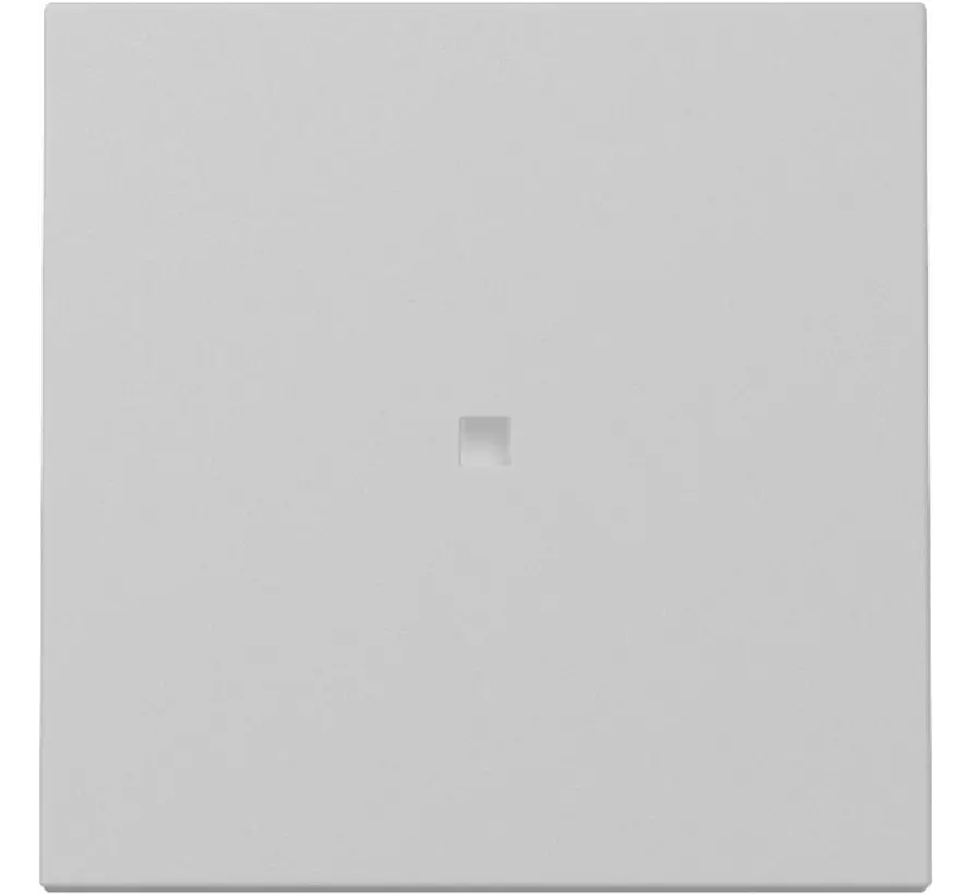 Wippe mit Kontrollfenster System 55 grau matt (3290015)