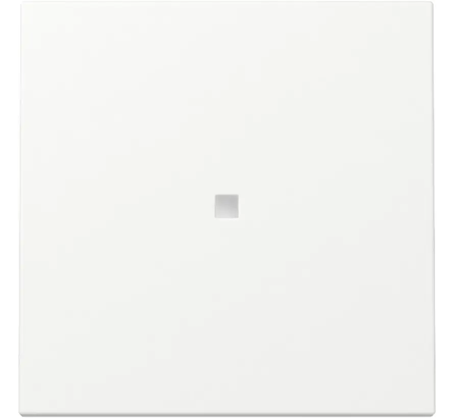 Wippe mit Kontrollfenster System 55 weiß matt (329027)