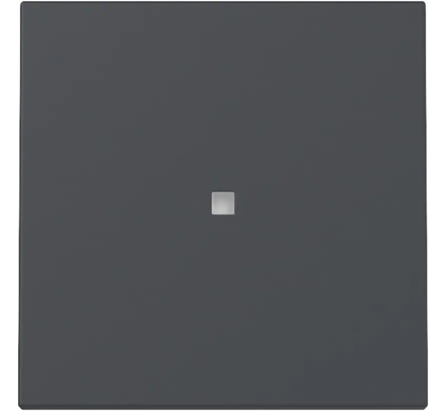 Wippe mit Kontrollfenster System 55 anthrazit matt (329028)