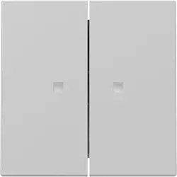 Gira Wippe 2fach mit Kontrollfenster System 55 grau matt (3631015)