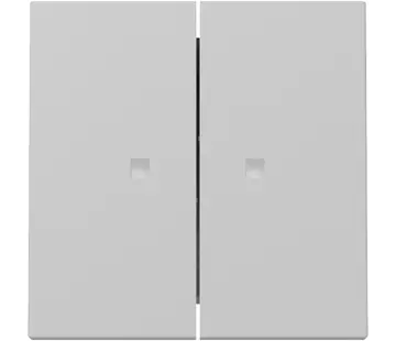 Gira Wippe 2fach mit Kontrollfenster System 55 grau matt (3631015)